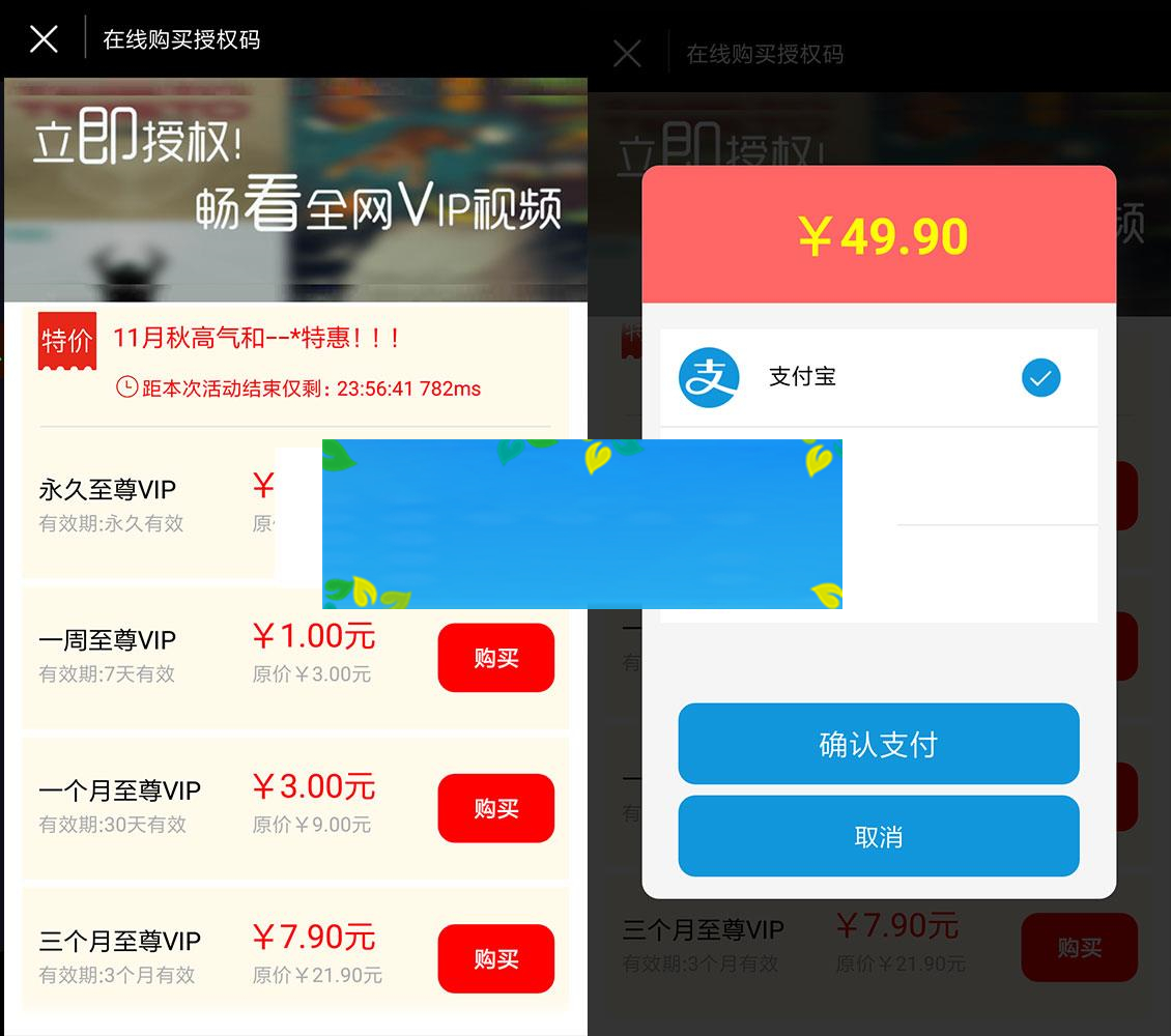 影视APP配套授权软件在线支付自动采集电影+视频安装教程（可赚钱）