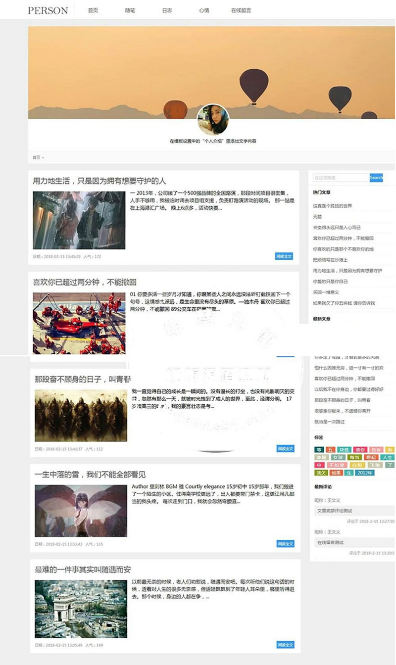 (带手机移动端)简洁PERSON个人博客新闻资讯网站源码 织梦dedecms模板