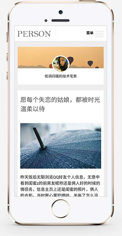 (自适应手机版)响应式个人随笔博客织梦模板