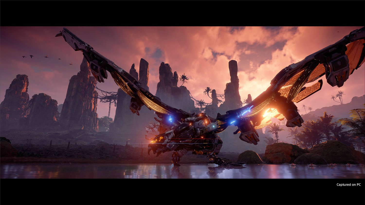 地平线：零之曙光/地平线：黎明时分/Horizon: Zero Dawn