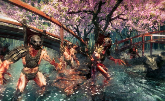 影子武士特别版/Shadow Warrior:Special Edition