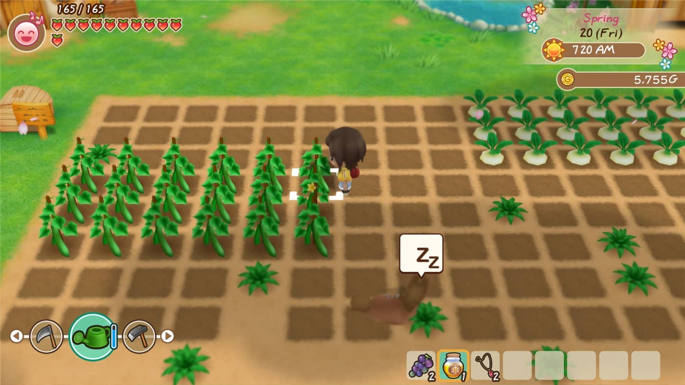 牧场物语：重聚矿石镇,牧场物语再会矿石镇的伙伴,Story of Seasons: Reunion in Mineral Town