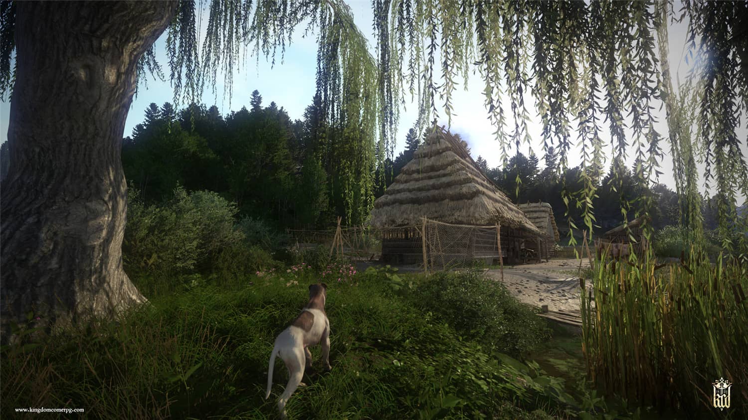 天国：拯救,天国拯救,Kingdom Come: Deliverance插图