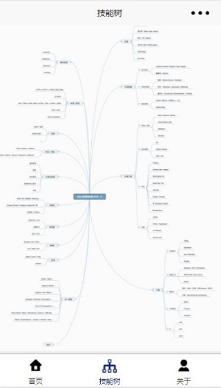 个人专业知识技能树展示小程序源码下载