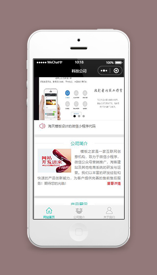 科技公司小程序科技网站首页模板源码下载插图