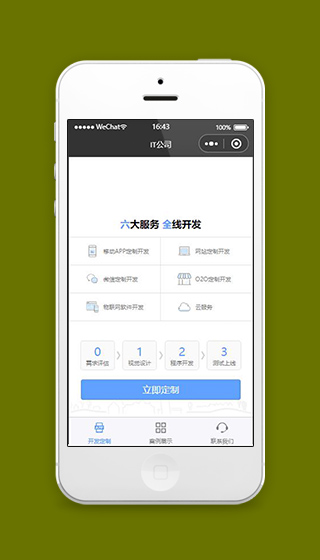 IT公司微信小程序开发定制页面模板下载