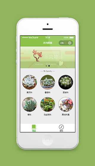 多肉绿植盆栽图鉴微信小程序源码下载