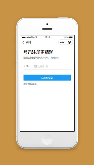 热门微博微信小程序短信验证登录页面模板下载