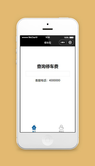 停车小程序查询停车费页面模板下载