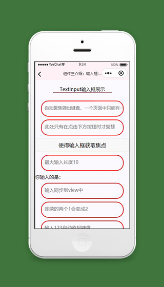 文本小程序输入框练习页面源码下载