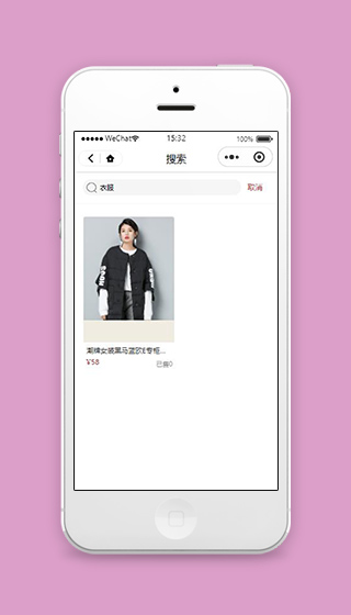 微信服装小程序搜索查询页面下载
