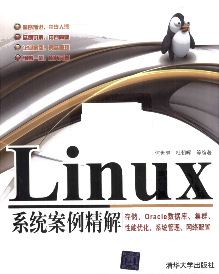 Linux系统案例精解 存储、Oracle数据库、集群、性能优化、系统管理、网络配置