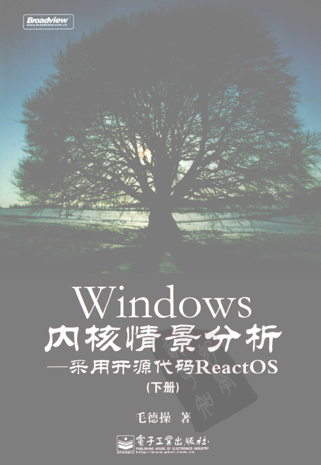 Windows内核情景分析 下 毛德操著 中文