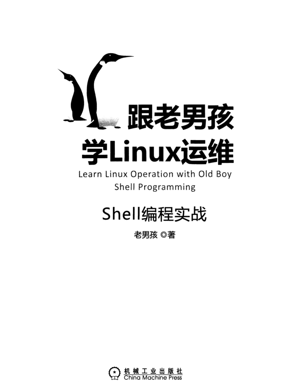 Linux运维高手进阶 Shell编程最佳实战