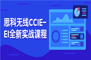 思科无线CCIE-EI全新实战课程