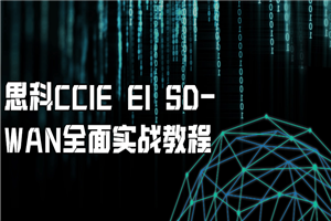 思科CCIE EI SD-WAN全面实战教程