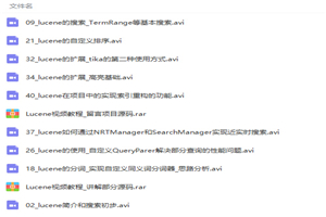 Lucene全文检索引擎架构零基础入门到实战视频教程