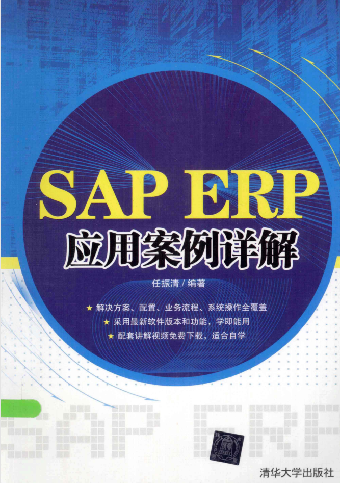 SAP ERP应用案例详解