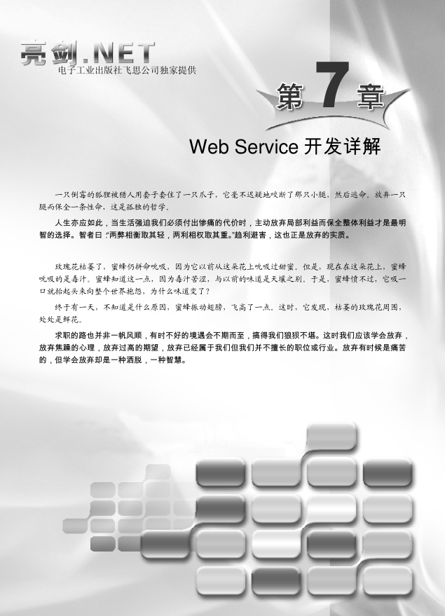 WebService开发详解 亮剑.Net