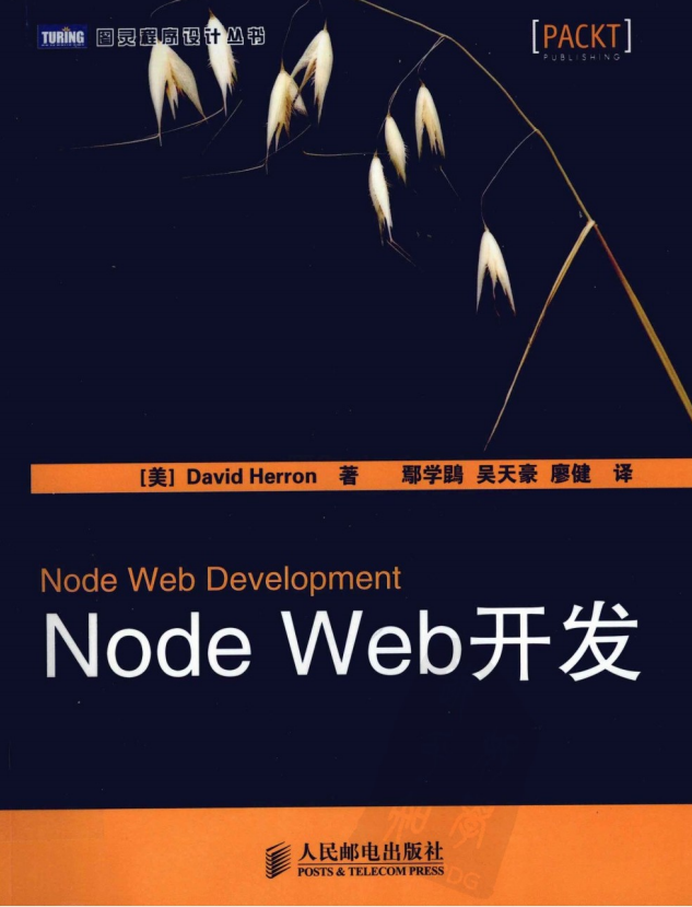 Node Web开发 中文PDF