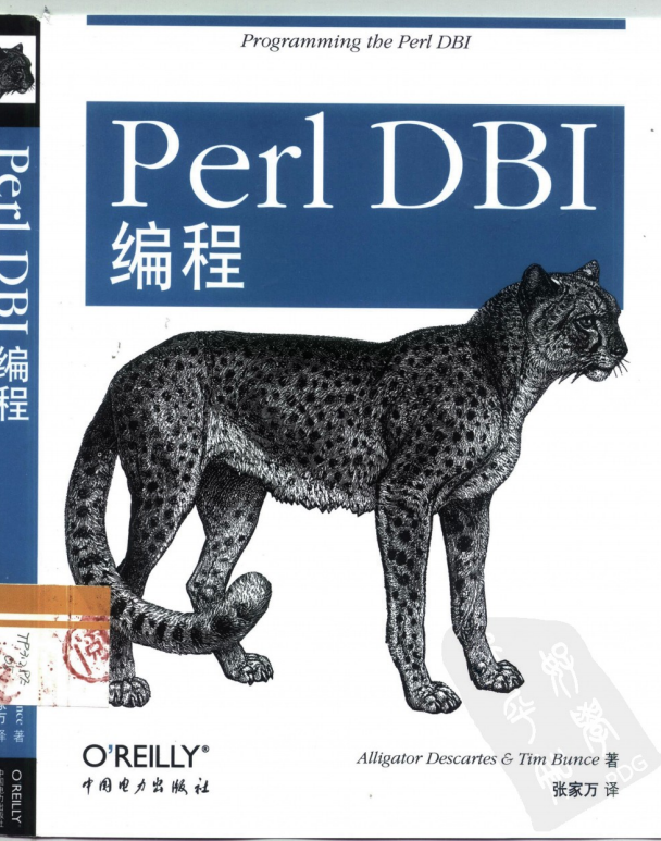 Perl DBI编程 中文PDF