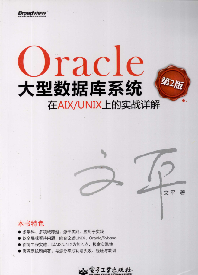 Oracle大型数据库系统在AIX/UNIX上的实战详解（第2版）