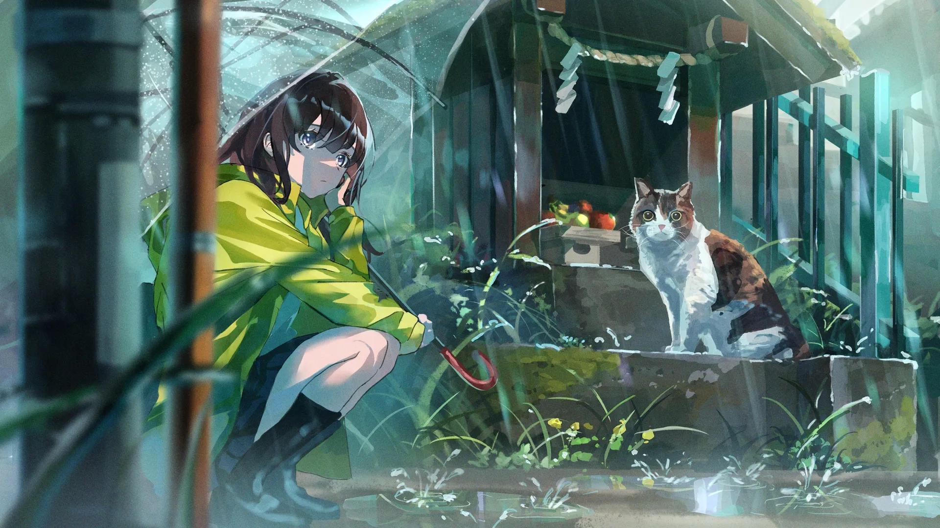 动漫 动漫女孩 猫 雨 伞  电脑壁纸 4K壁纸