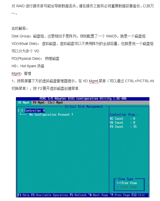 DELL服务器PERC5 RAID配置中文手册