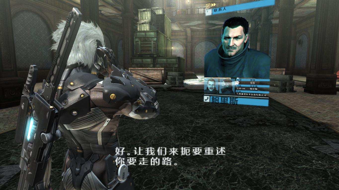 合金装备崛起：复仇/Metal Gear Rising: Revengeance