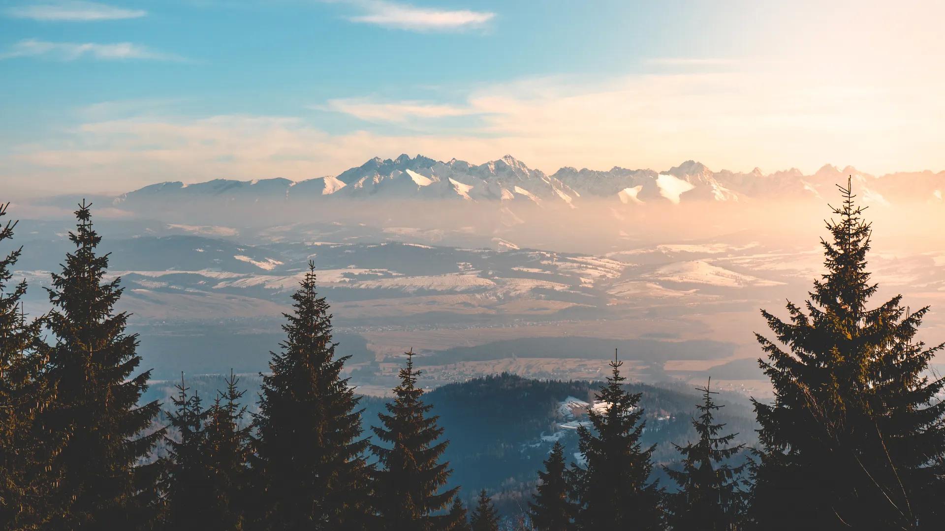 景观 自然 森林 山 云 远景