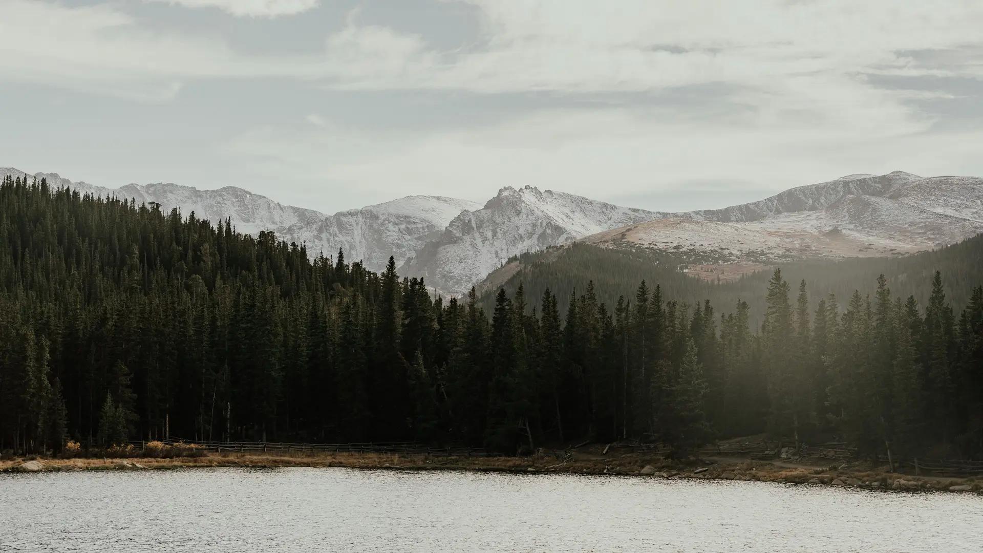 风景 水 树 森林 山 雪 自然