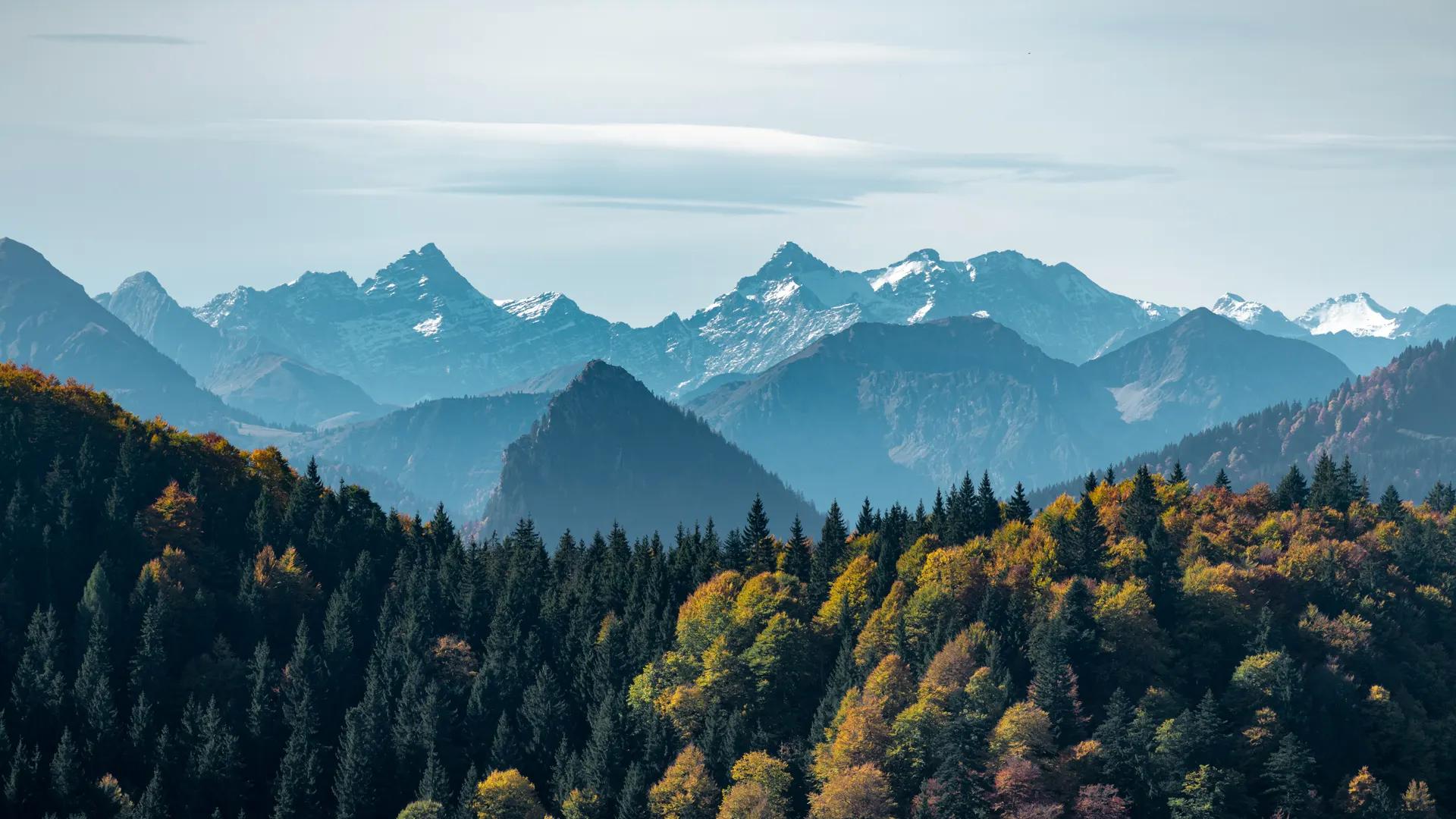 风景 自然 山脉 森林 树木 天空 云