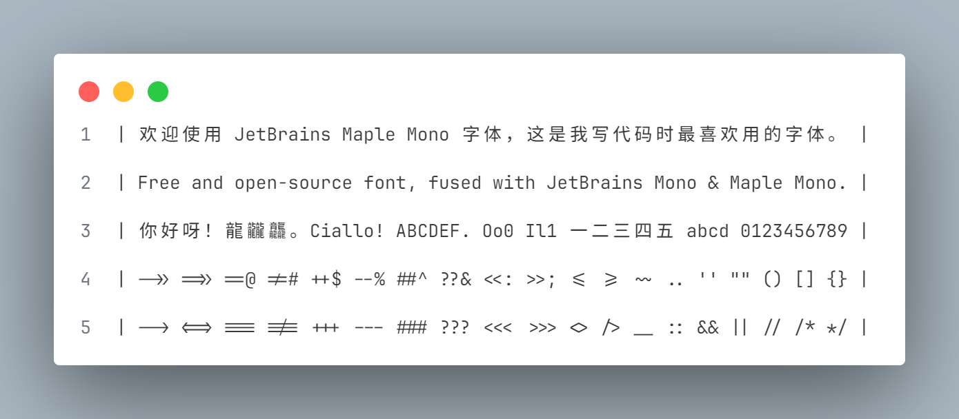 JetBrains Maple Mono