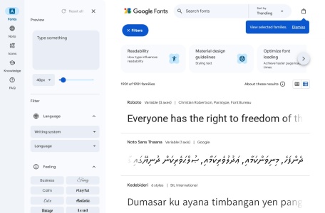 Google Fonts