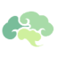 脑岛